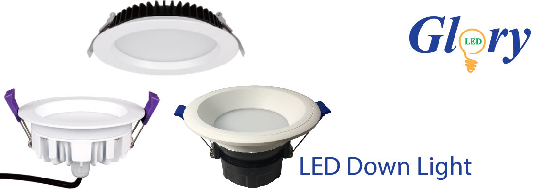 LED Down Light